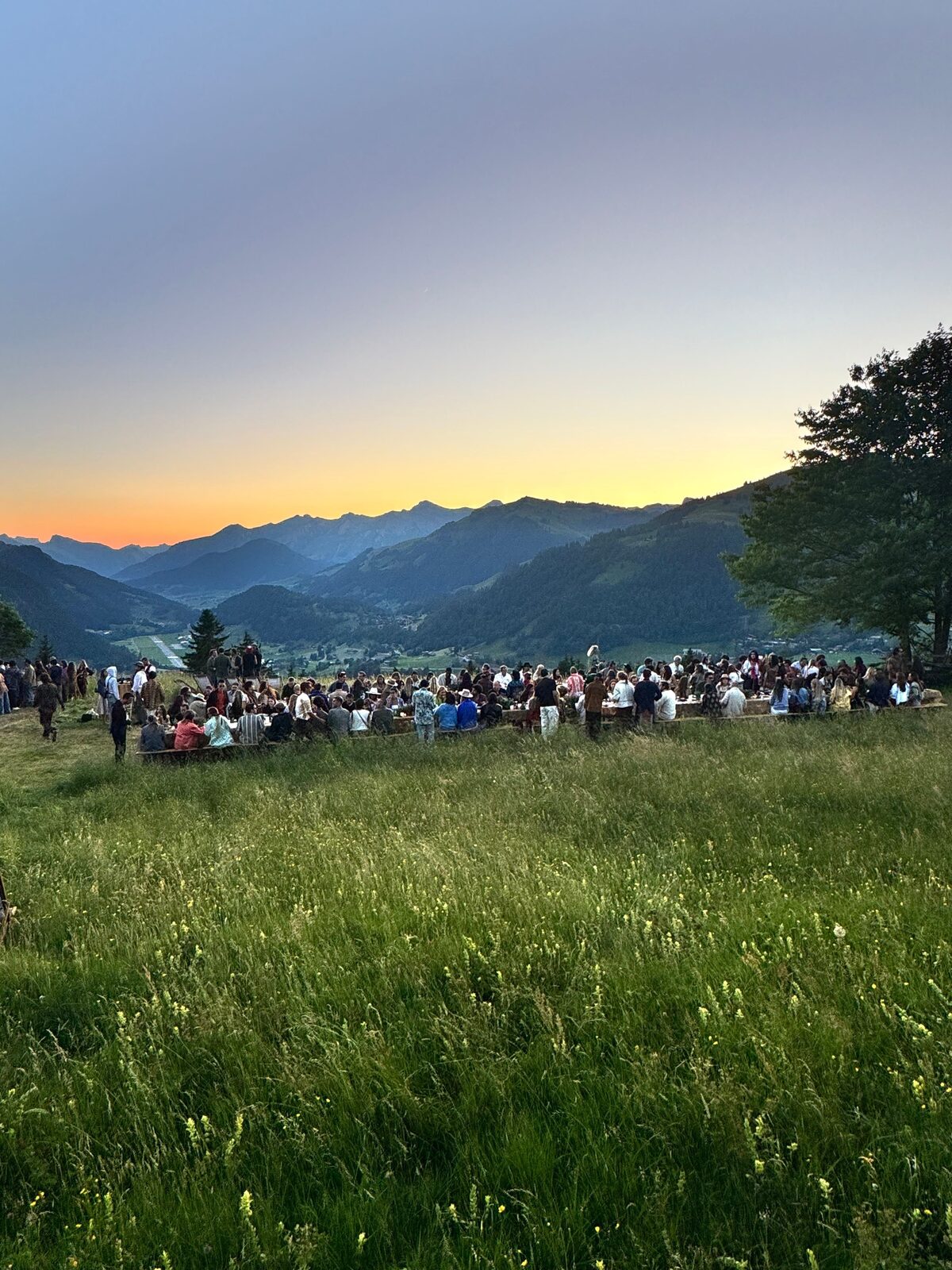 Long-table dinner at dusk